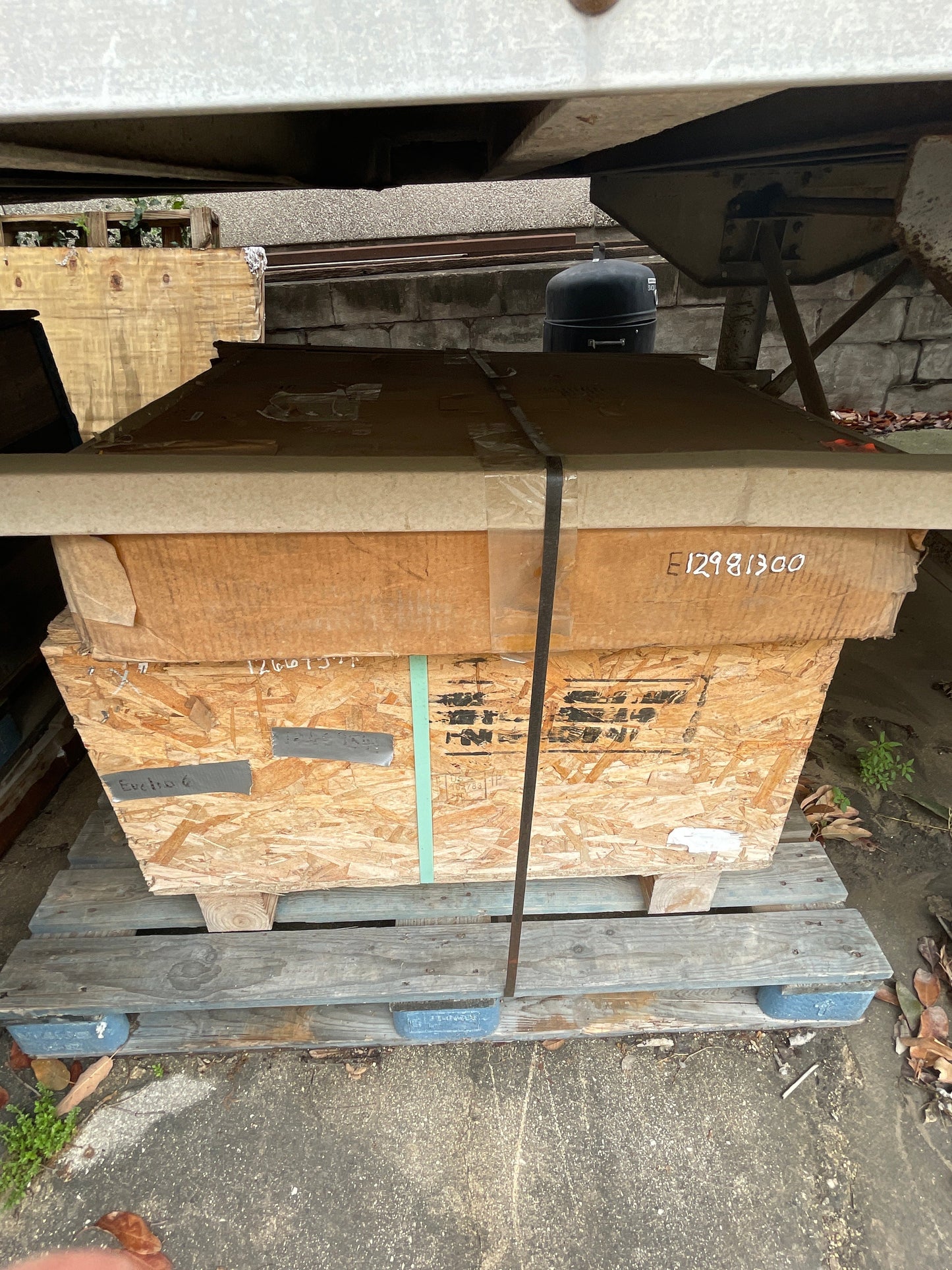 E12981300
