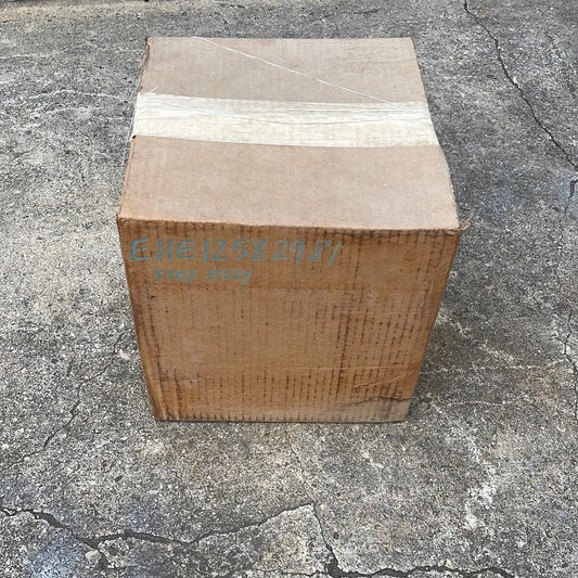 E12582981